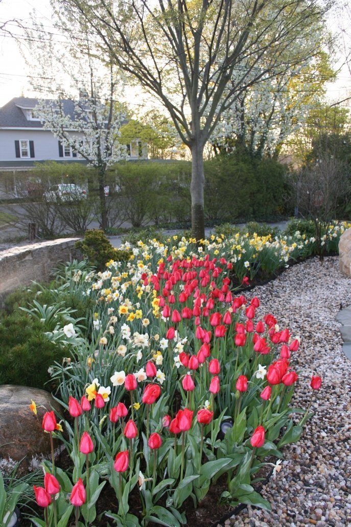 SpringLandscapePreperation1