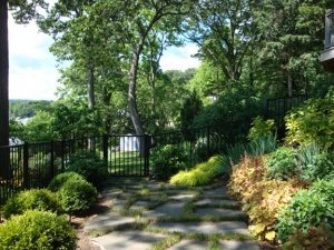 dappled-shade-plants-stone