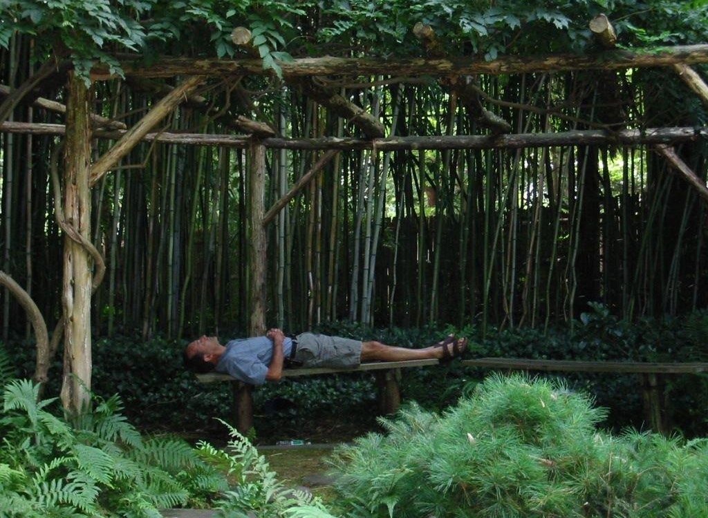 ContemplativeGarden3