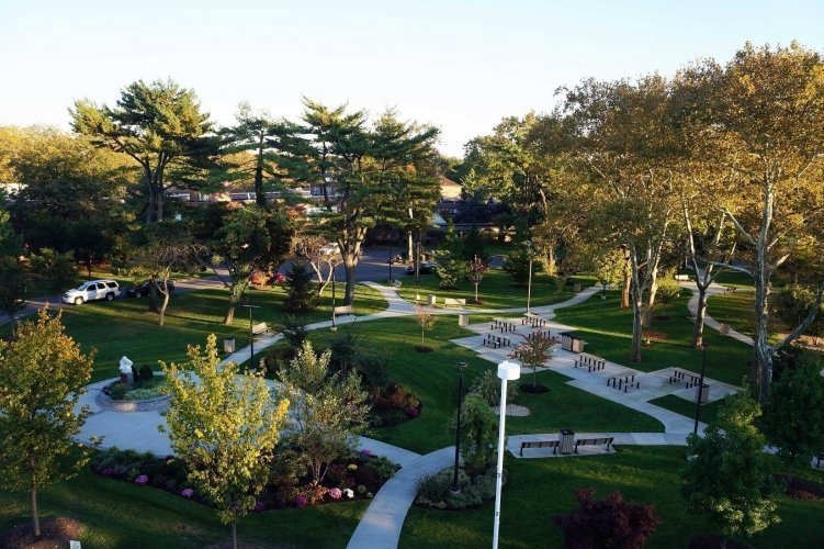 Central-Park-Dusk-Plaza-Walk-Concrete-Tree