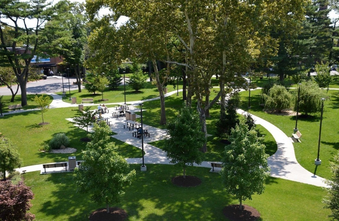 Central-Park-Dusk-Plaza-Walk-Concrete-Tree-Dining-Sycamore-Willow