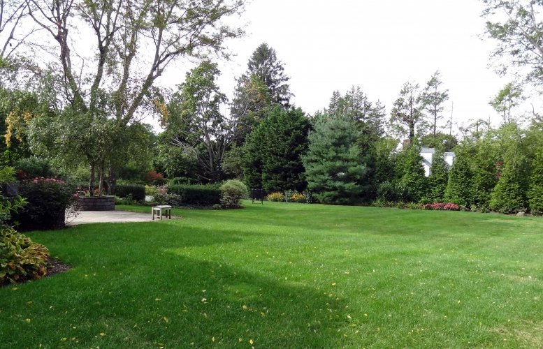 lawn aeration seed lush