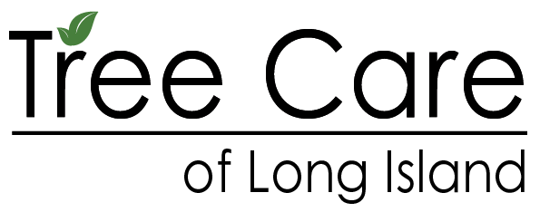 Goldberg & Rodler, Inc.